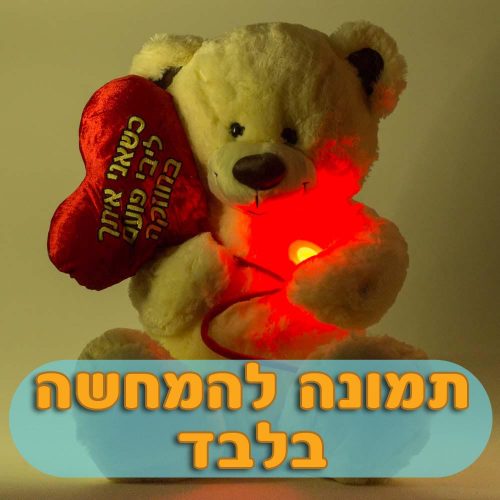 דובי אהבה 50 ס"מ פרוותי עם לב פועם מחזיק בלון באנגלית K100012-2