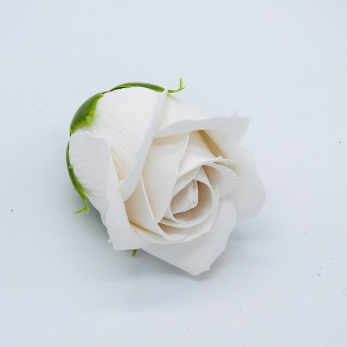 פרח סבון בודד ורד בצבע לבן K400386