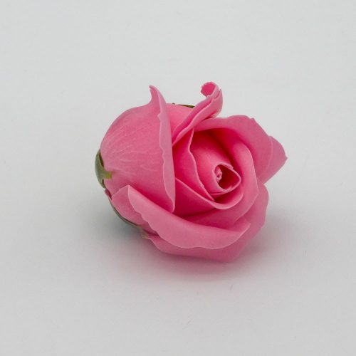 פרח סבון בודד ורד בצבע ורוד פוקסיה K400447-1