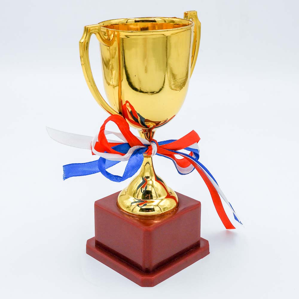 גביע ניצחון זהב מפלסטיק 19 ס"מ עם הקדשה תמונת צד