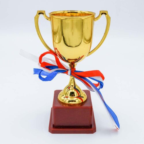 גביע ניצחון זהב מפלסטיק 19 ס"מ עם הקדשה חזית ללא הקדשה